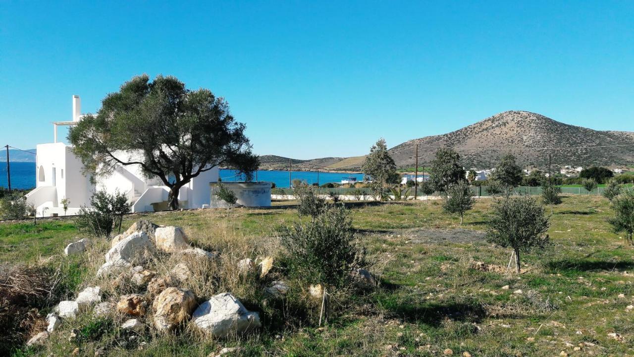 Agiassos Naxos Apartments المظهر الخارجي الصورة